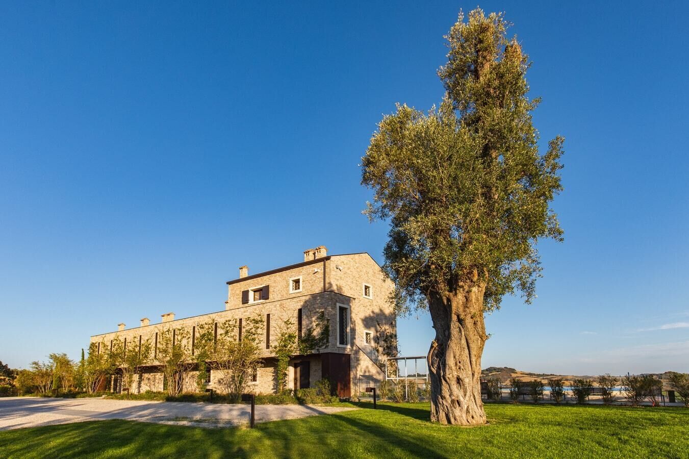 A stone building with a large tree in front.