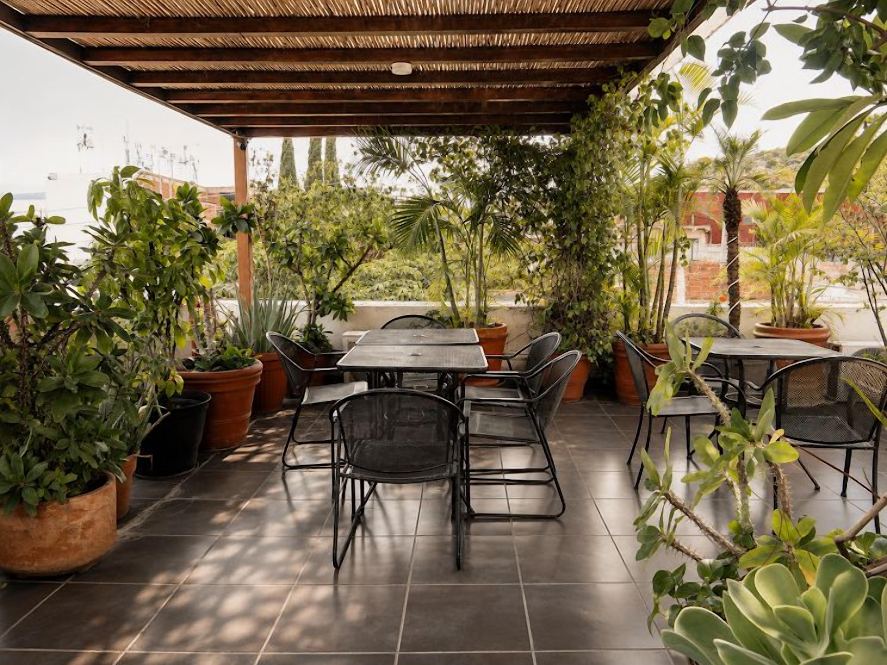 Un patio al aire libre con una mesa y sillas, rodeado de plantas en macetas.