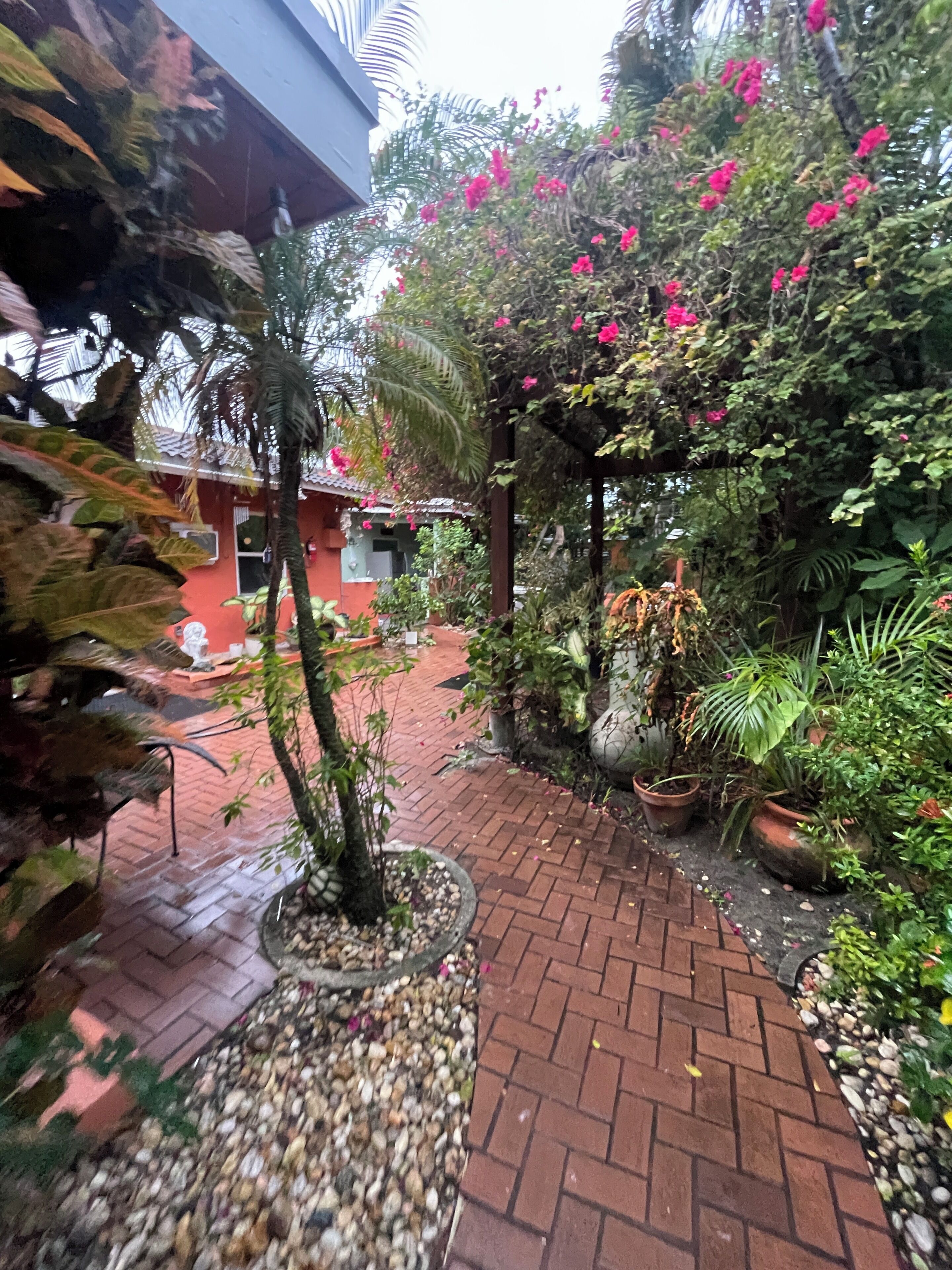 A brick pathway leading to a building with a red facade, surrounded by lush greenery and flowering plants.