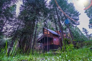 Eine Hütte, umgeben von hohen Bäumen, mit einer Holzterrasse und einem kleinen Balkon.