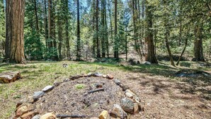 Bosque con un pozo para fuego rodeado de rocas.
