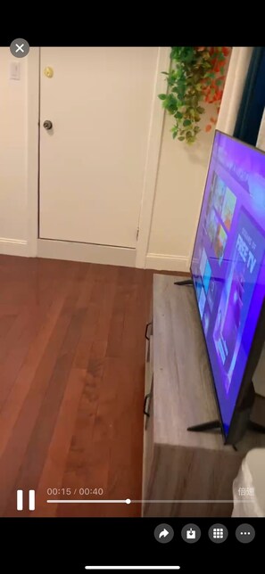 Fernseher