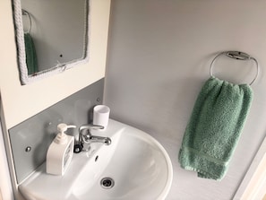 A bathroom with a white sink, a mirror, a towel rack with a green towel, and a white cup. - Lodge with stunning view in Wymess Bay (Skelmorlie)