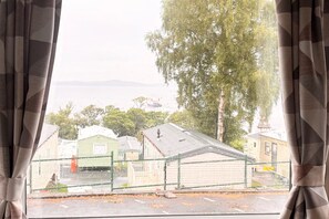 A view through a window with curtains, featuring a street with buildings, a fence, and a tree.