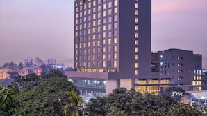 Ảnh chưa phân loại, 2 trong số 56 ảnh, nút