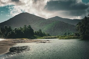 Un río con montañas al fondo, rodeado de abundante vegetación.