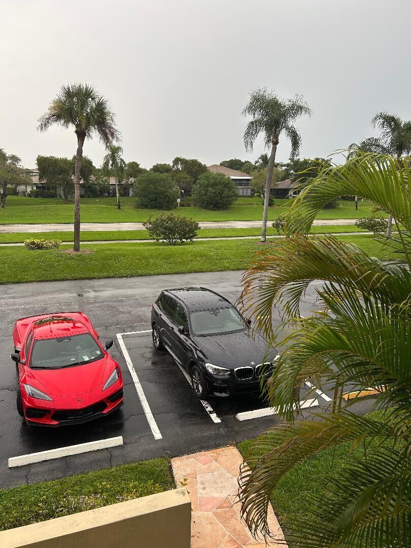 A parking area with two cars, one red and one black, parked on a wet surface with palm trees and a grassy area in the background.