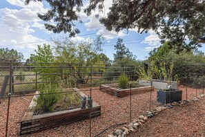 Ein von einer Hecke umgebener Garten mit verschiedenen Pflanzen und Bäumen.
