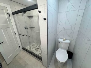 Ein Badezimmer mit Duschkabine, Toilette und weißer Tür.