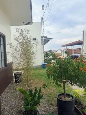 Un quartier résidentiel avec un petit jardin, une plante en pot et un bâtiment doté d’une fenêtre.