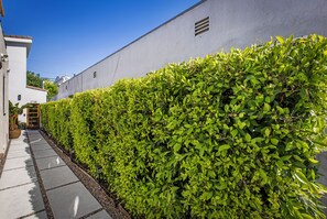 A pathway flanked by a neatly trimmed hedge and a white building with a small window and a door. - The Ultimate LA 3BR Retreat Outdoor Lounge & BBQ (Los Angeles)