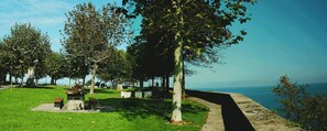 Ein Park mit einem Pfad, Bänken und Bäumen.