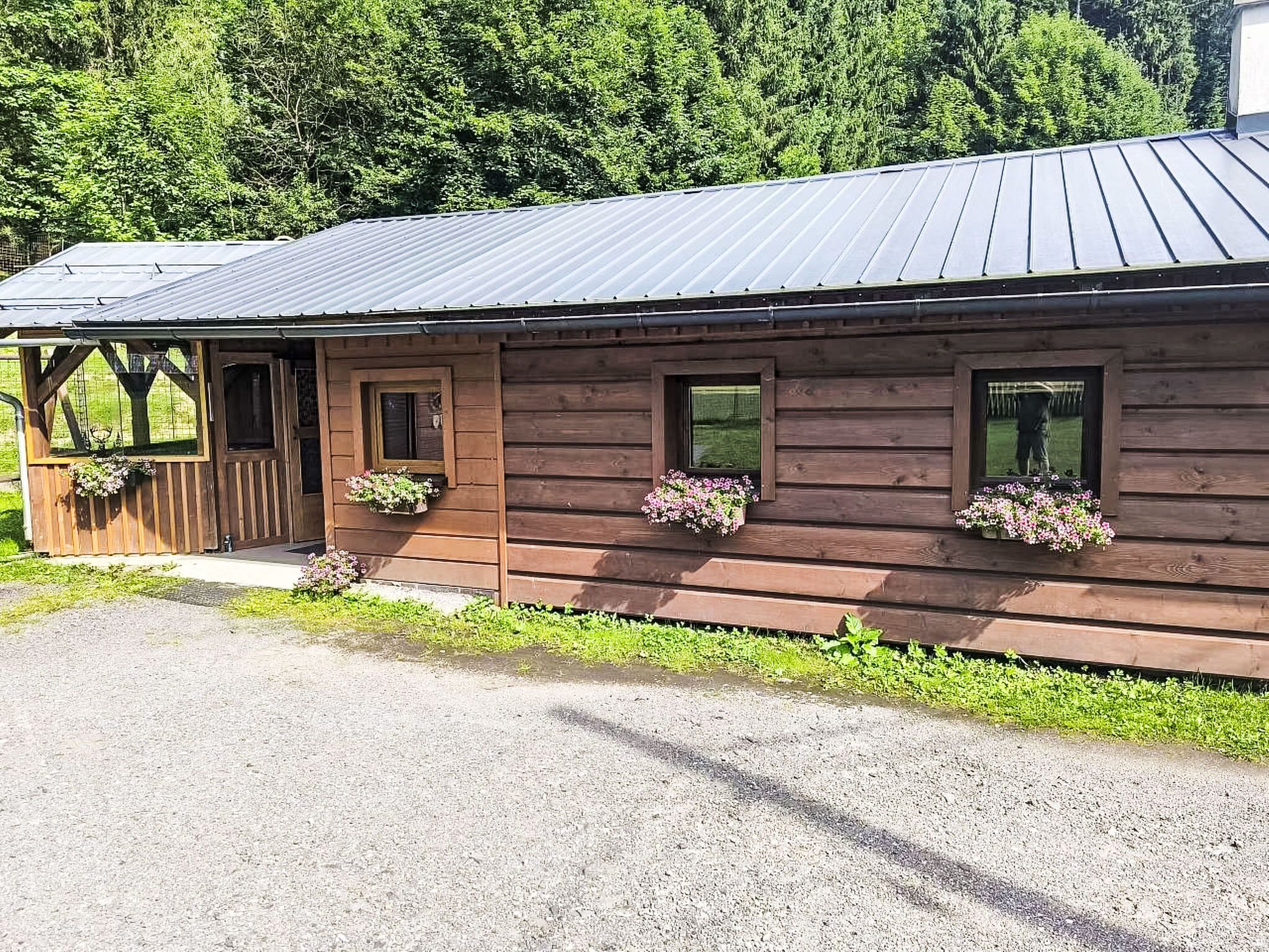 A wooden cabin with a metal roof, a porch, and flower boxes on the windows.