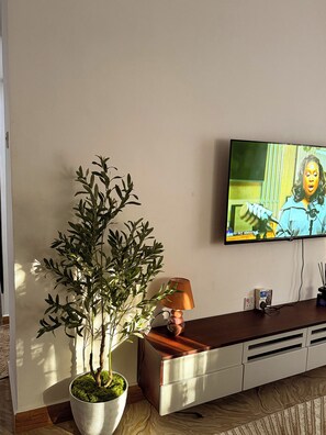 Un saló amb televisió penjada a la paret, una planta en test, una làmpada i un moble de fusta.