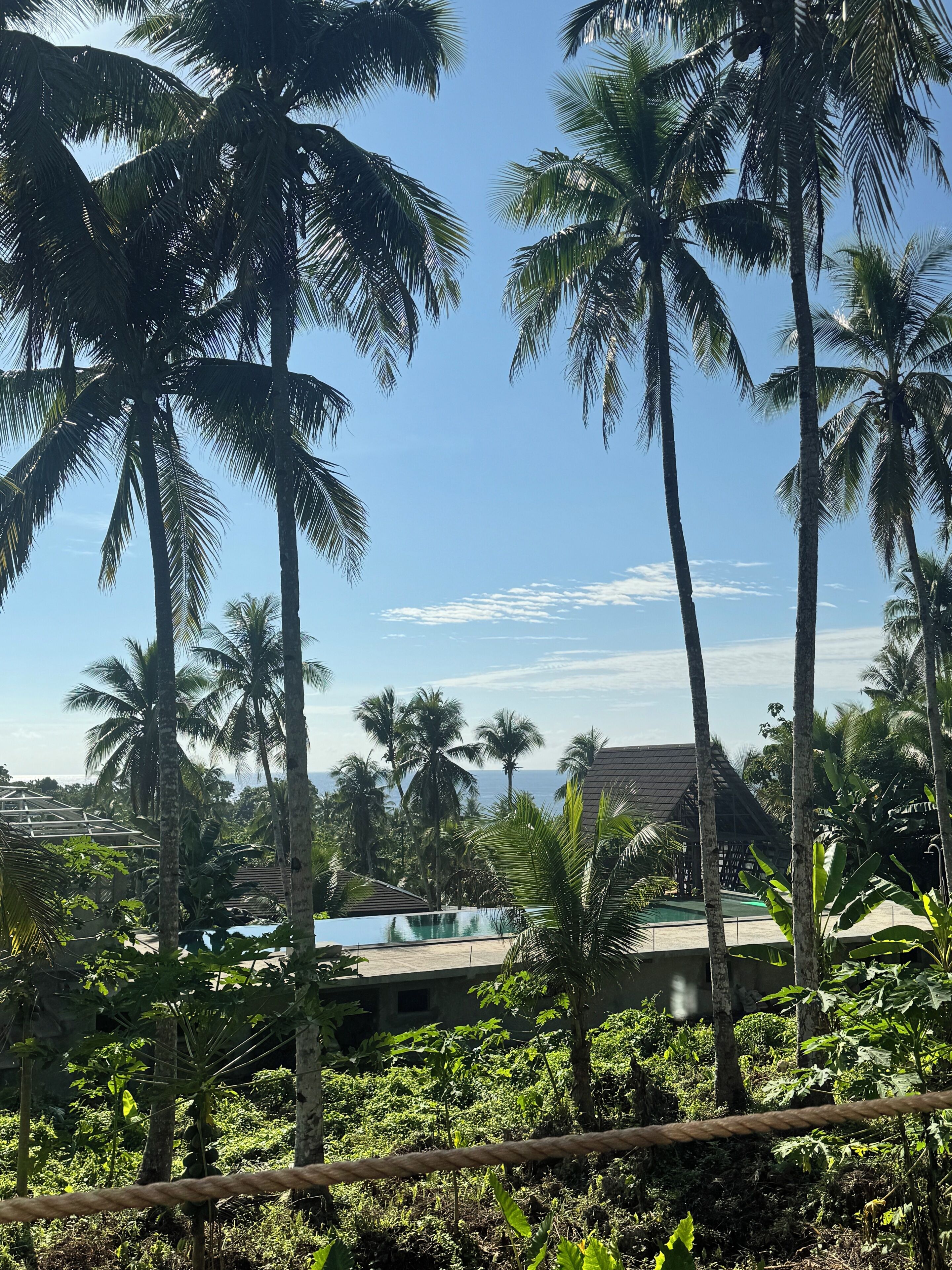 Un complexe hôtelier tropical doté de palmiers, d’une piscine et offrant une vue sur l’océan.