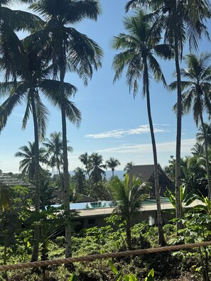 A tropical resort with palm trees, a swimming pool, and a view of the ocean.