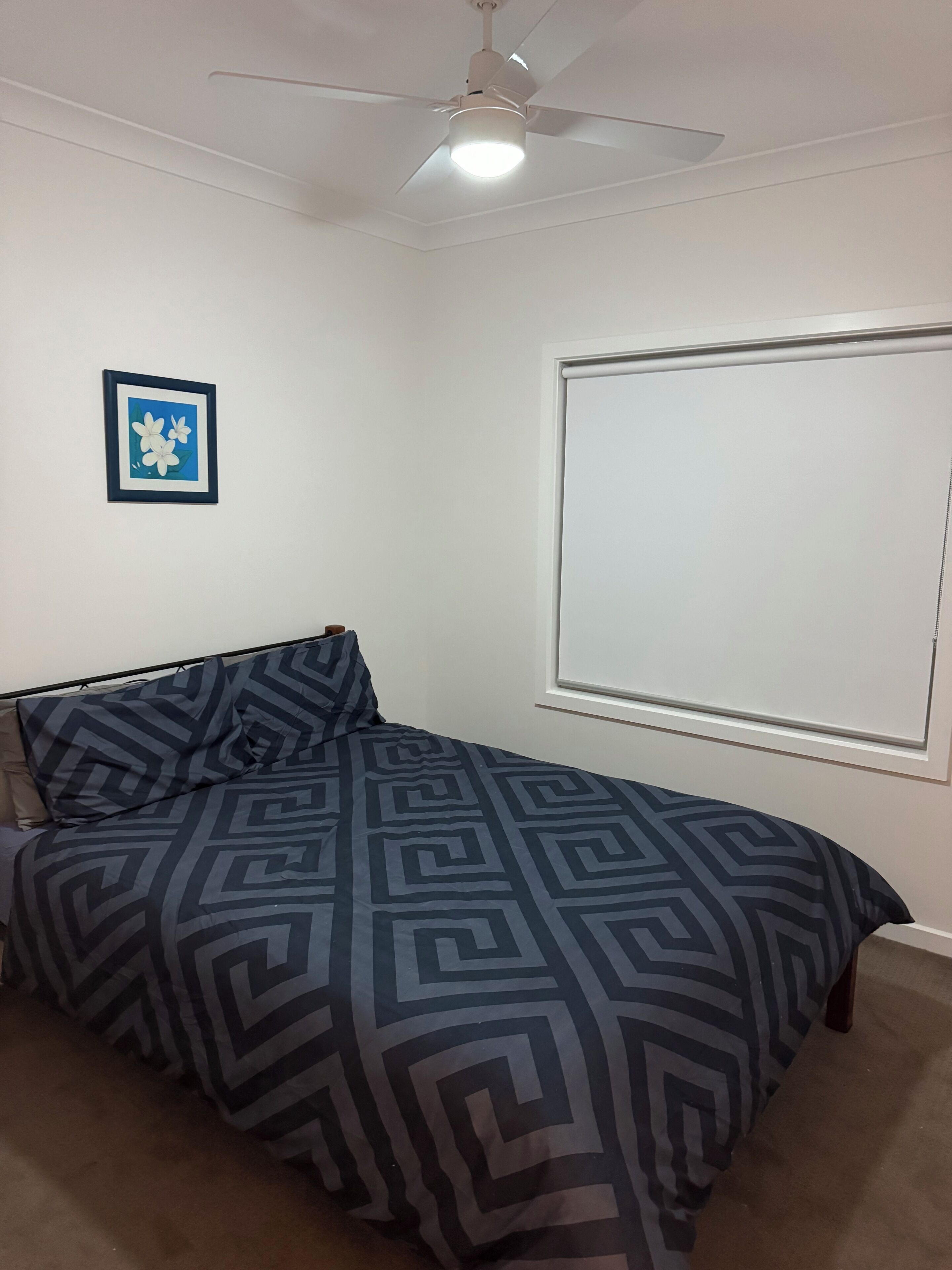 A bedroom with a bed, a ceiling fan, a window, and a framed picture on the wall.