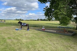 A horse in a fenced outdoor area with a tree and a small structure. - Old Tenne under Reet in a single position (Taarstedt)