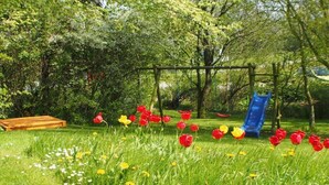 A playground with a slide and swings surrounded by lush greenery and tulips. - Holiday home Ockholm (Ockholm)