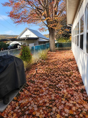 A covered outdoor area with a barbecue grill, a tree with autumn leaves, and a house in the background.