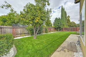 A well-maintained backyard with a lawn, a tree with fruit, a wooden fence, and a tall coniferous tree. - Near Golden 1 Center! Modern Home w/ Ping-Pong (Sacramento)