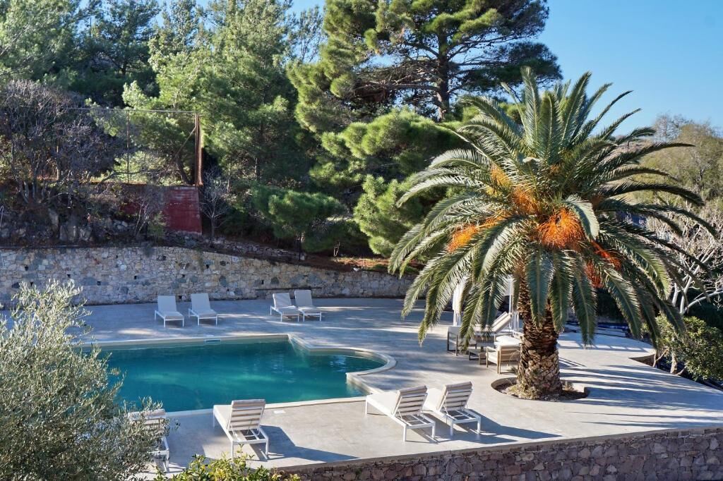 A pool area with lounge chairs and a palm tree.
