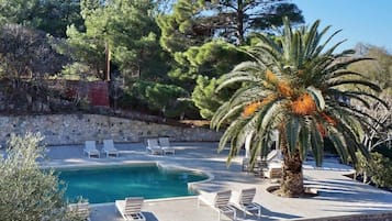 A pool area with lounge chairs and a palm tree.