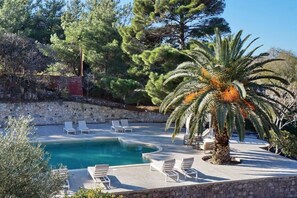 Un área de piscina con sillas de descanso y una palmera.