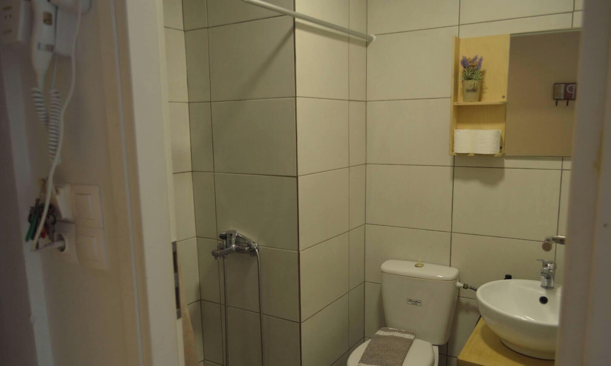 Een badkamer met douche, toilet en wastafel.