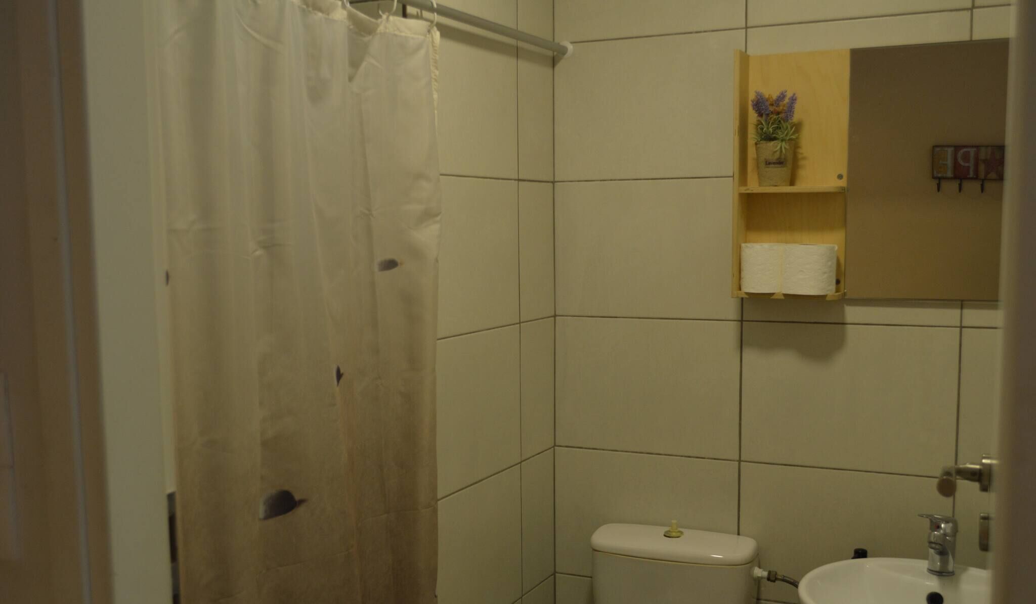 Hair dryer, towels
