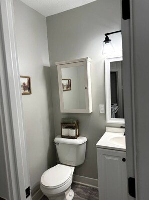 A small bathroom with a toilet, a sink, and a mirror. - Quiet Apt on Fort Wayne's Downtown Trail (Fort Wayne)