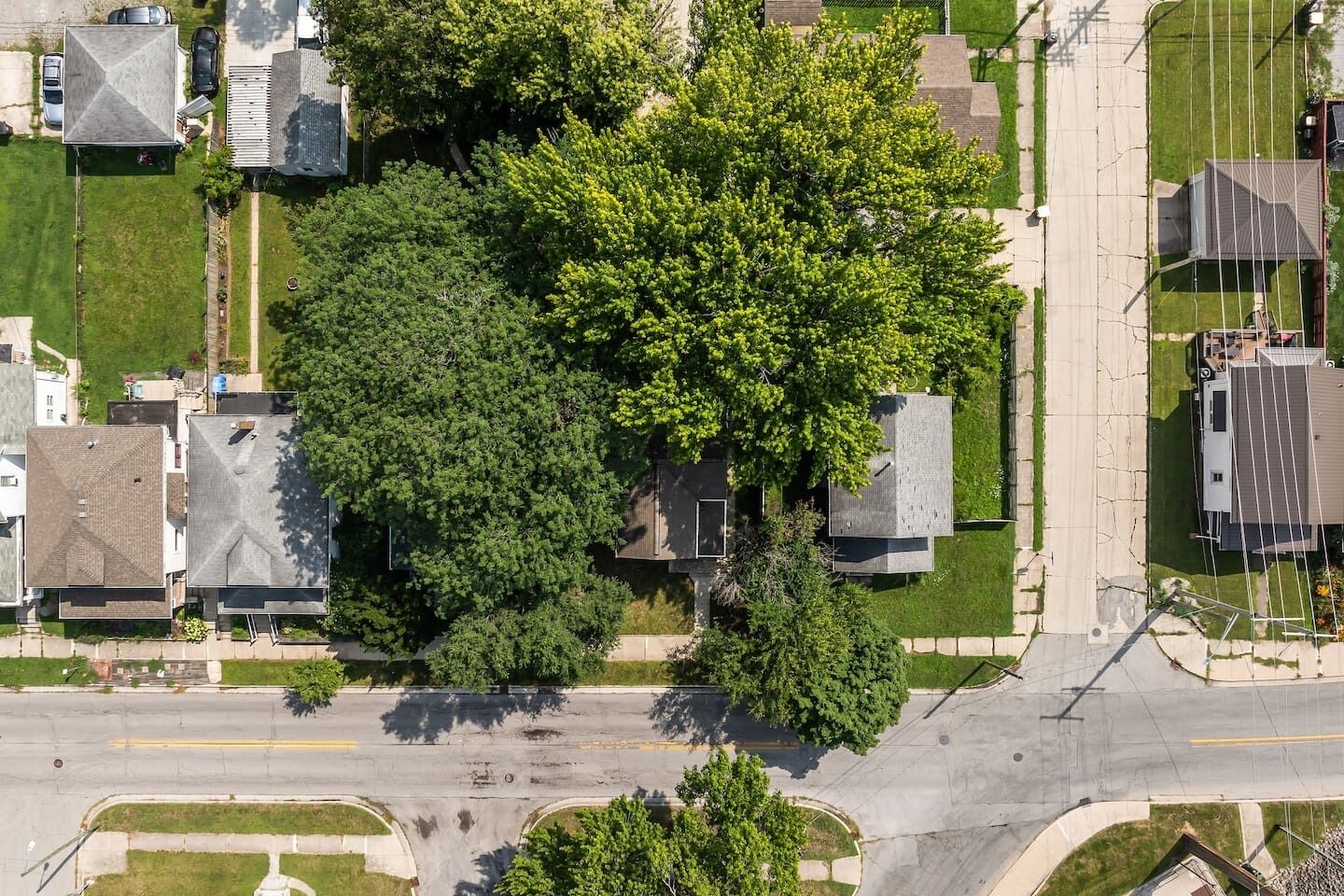 Vista aèria d'una zona residencial amb cases, un carrer i un arbre gran.