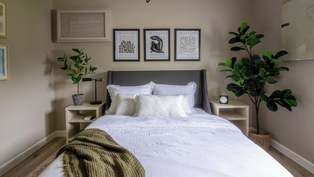 A neatly made bed with white linens, a grey headboard, and a green throw blanket. There are three framed artworks above the bed, a small bedside table with a lamp, and a large potted plant to the right.