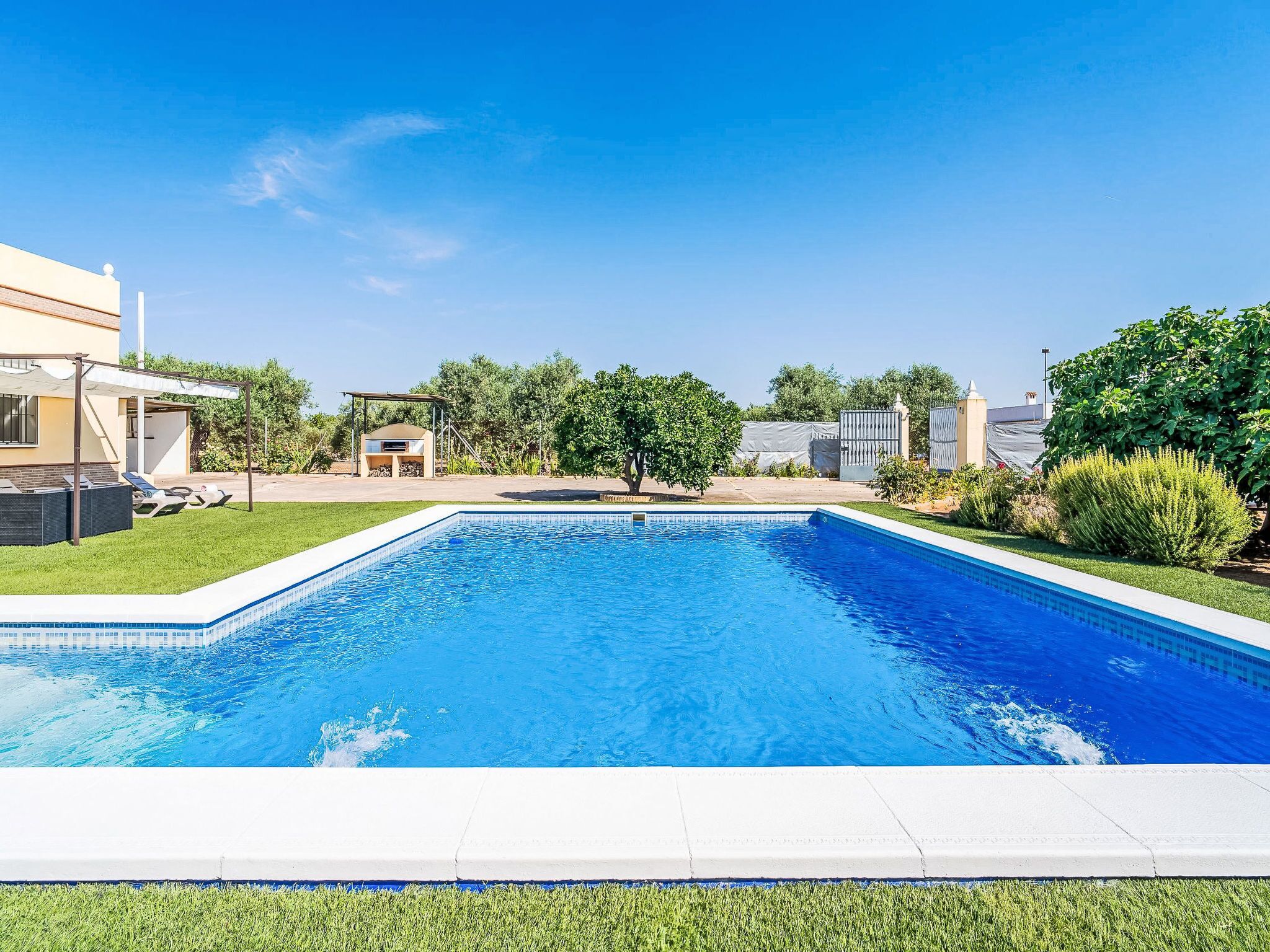A rectangular swimming pool with a clear blue water surface, surrounded by a well-maintained lawn and a variety of trees and shrubs.