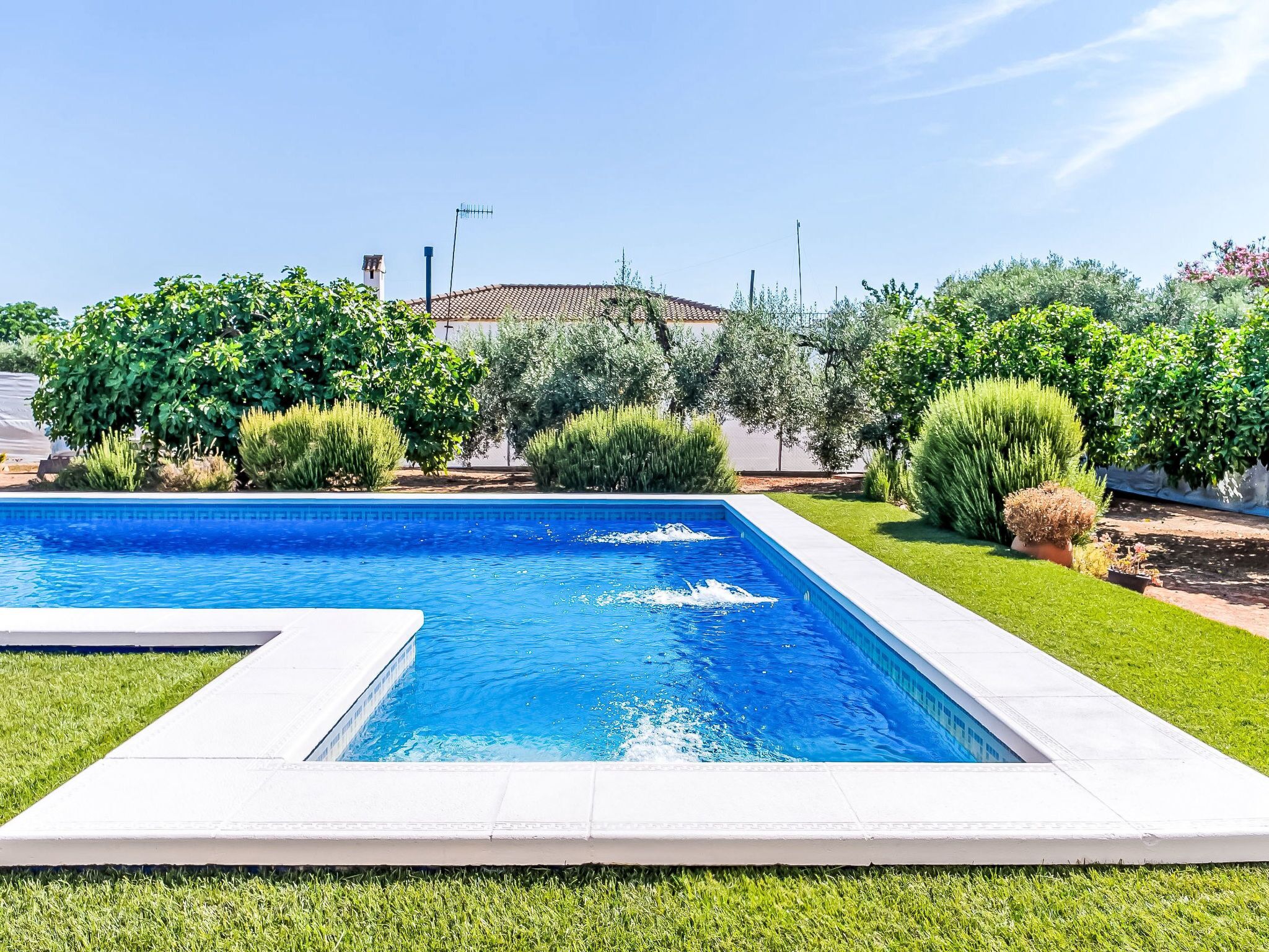 Une piscine rectangulaire bordée de blanc, entourée d’une pelouse bien entretenue et de divers arbustes.