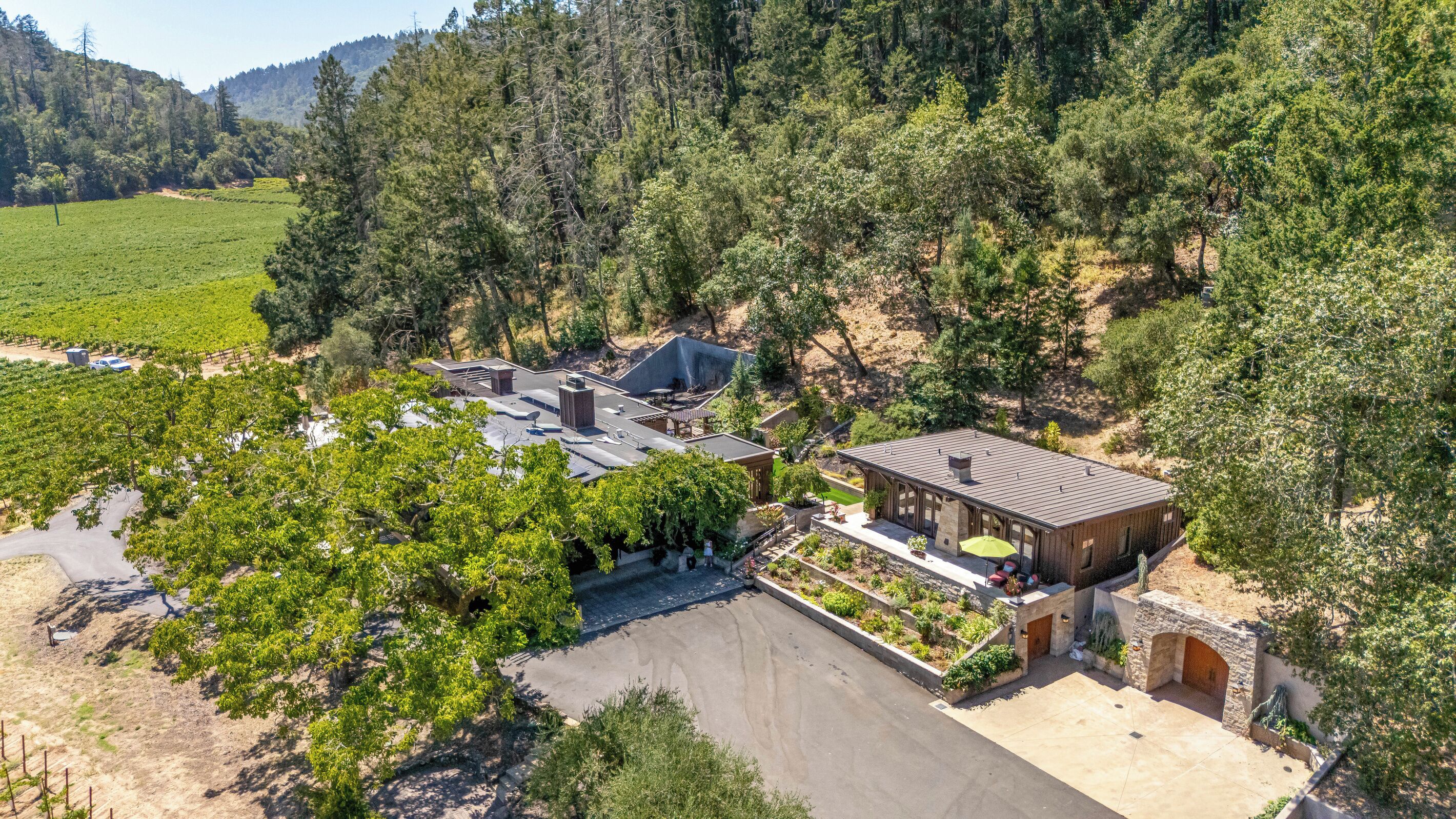 Une maison moderne dotée d’un grand patio, entourée d’un vignoble et d’une forêt dense.