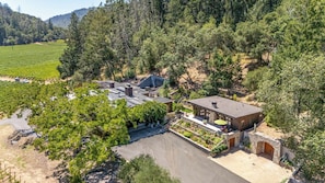 A modern house with a large patio area, surrounded by a vineyard and dense forest.