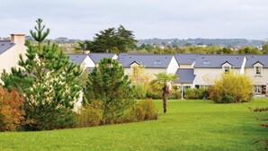 Un quartier résidentiel avec des maisons, une pelouse verdoyante et des arbres.