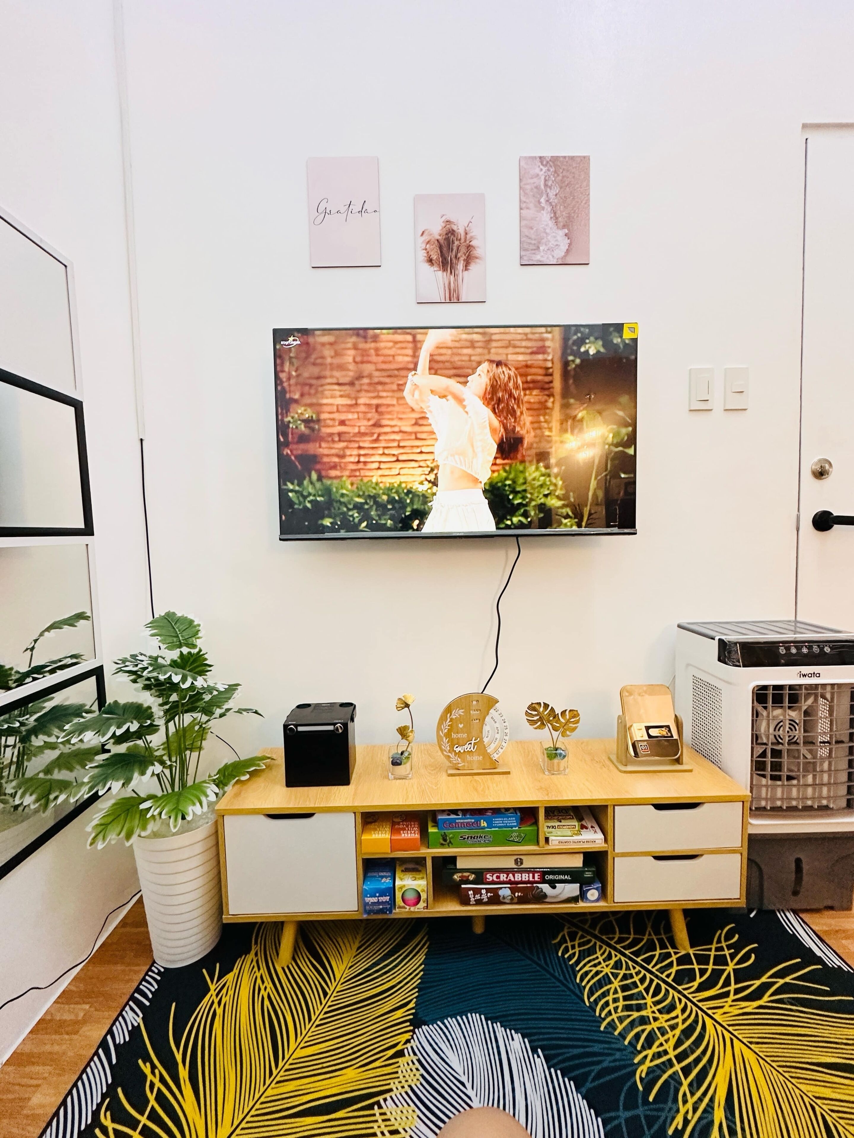 A living room with a flat-screen TV mounted on the wall, a wooden entertainment unit with a few decorative items, a potted plant, and a patterned rug.