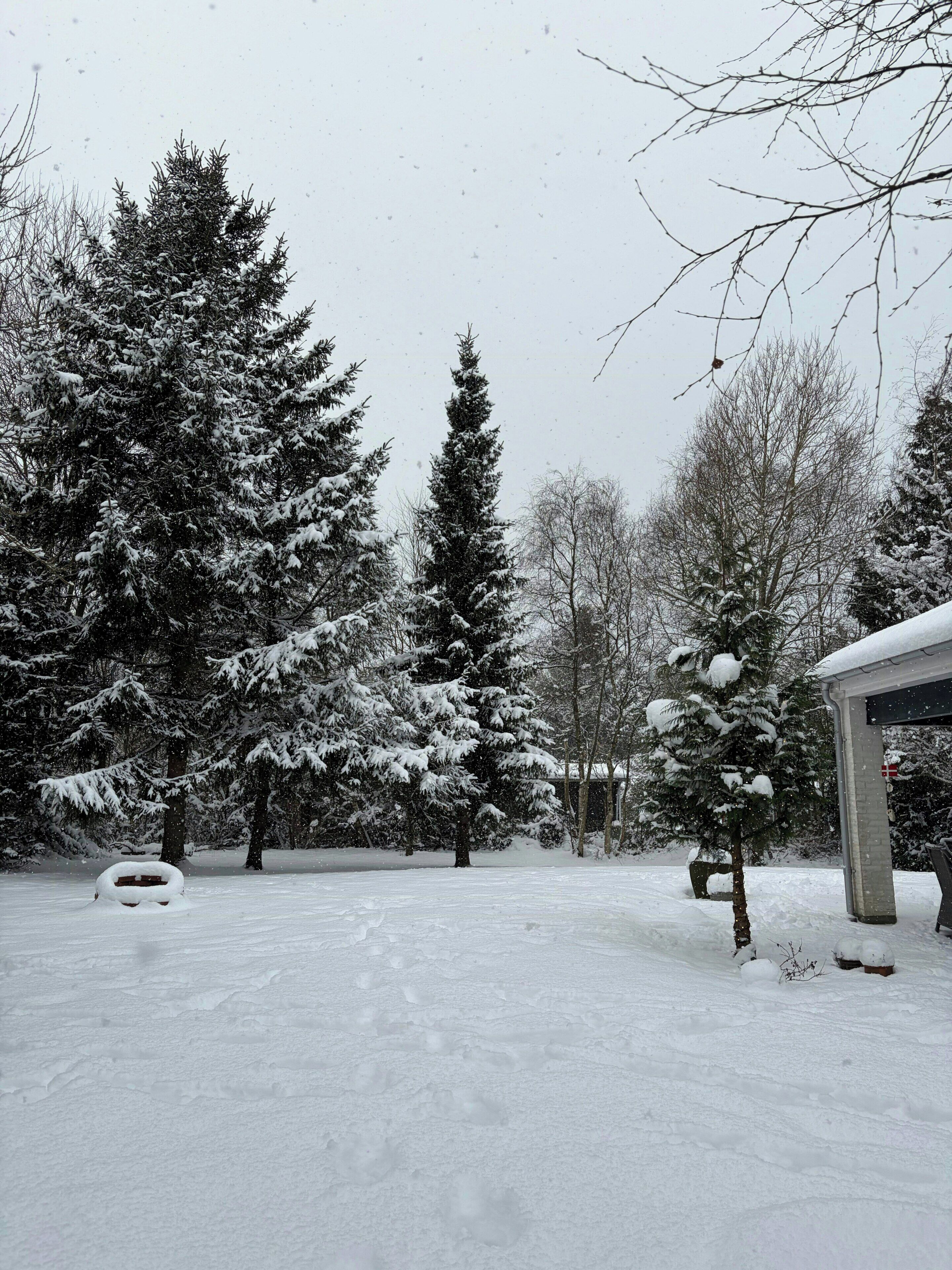 A snowy landscape with snow-covered trees and a bench.