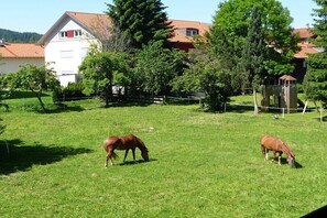 Jardines del alojamiento