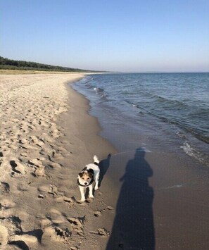 Beach - Villa Without Limits (Glowe)