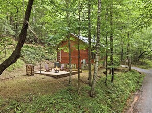 Une cabane dotée d’un foyer extérieur et de sièges, entourée d’une forêt dense.