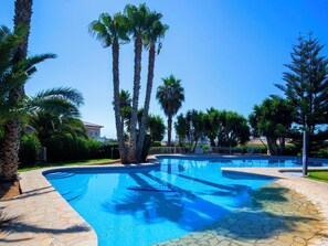 Ein Swimmingpool mit klarem, blauem Wasser, umgeben von Palmen und einem Steinweg.
