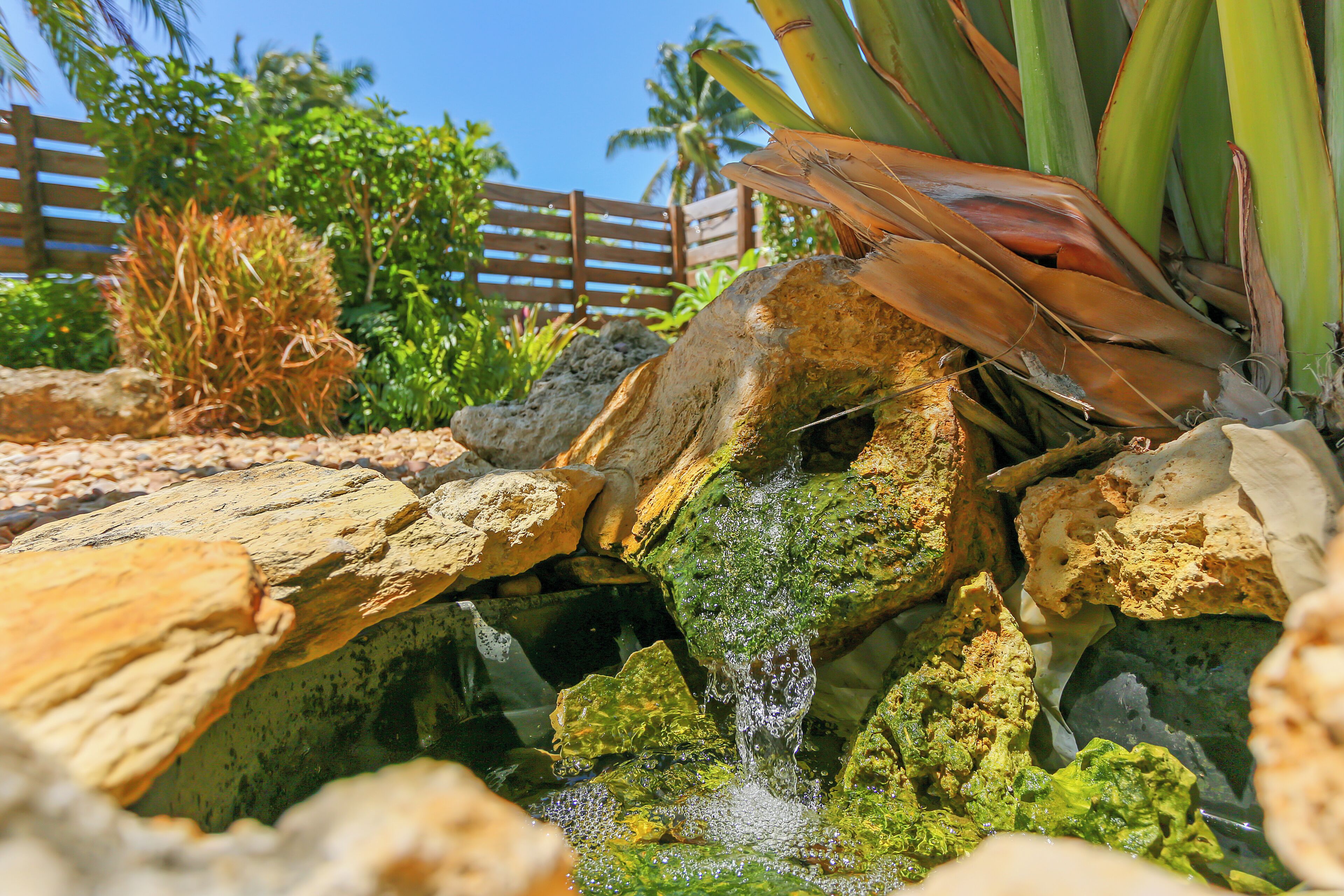 Ein natürlicher Wasserlauf mit einem Wasserfall über Felsen, umgeben von tropischer Vegetation.