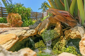 Una fuente natural con cascada sobre rocas, rodeada de vegetación tropical.