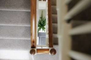 A staircase with a wooden handrail and a potted plant at the bottom.