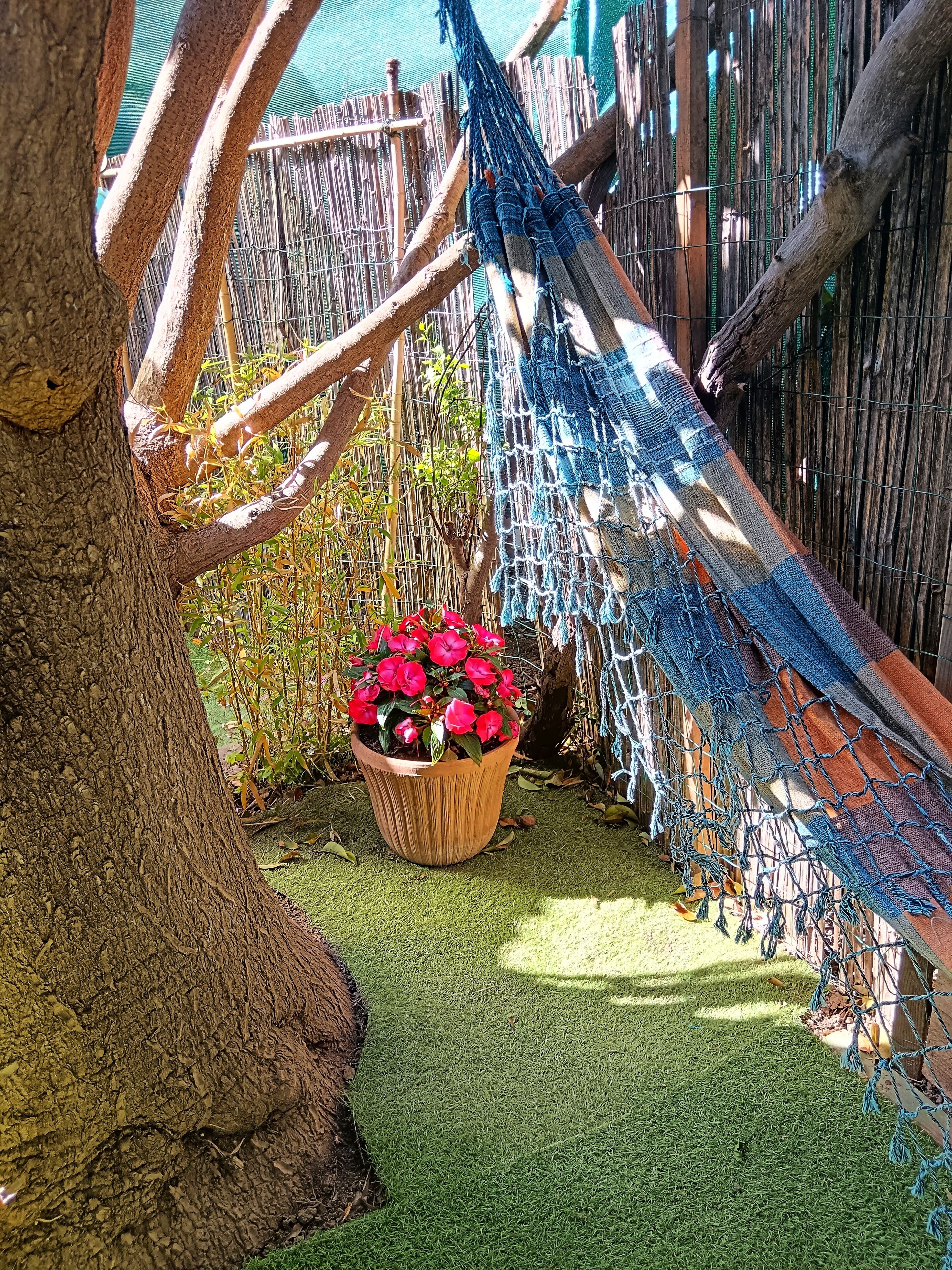 Jardines del alojamiento
