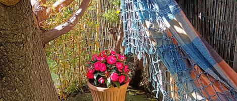 Un hamac tendu entre deux arbres, une plante en pot aux fleurs rouges et une clôture en bois.