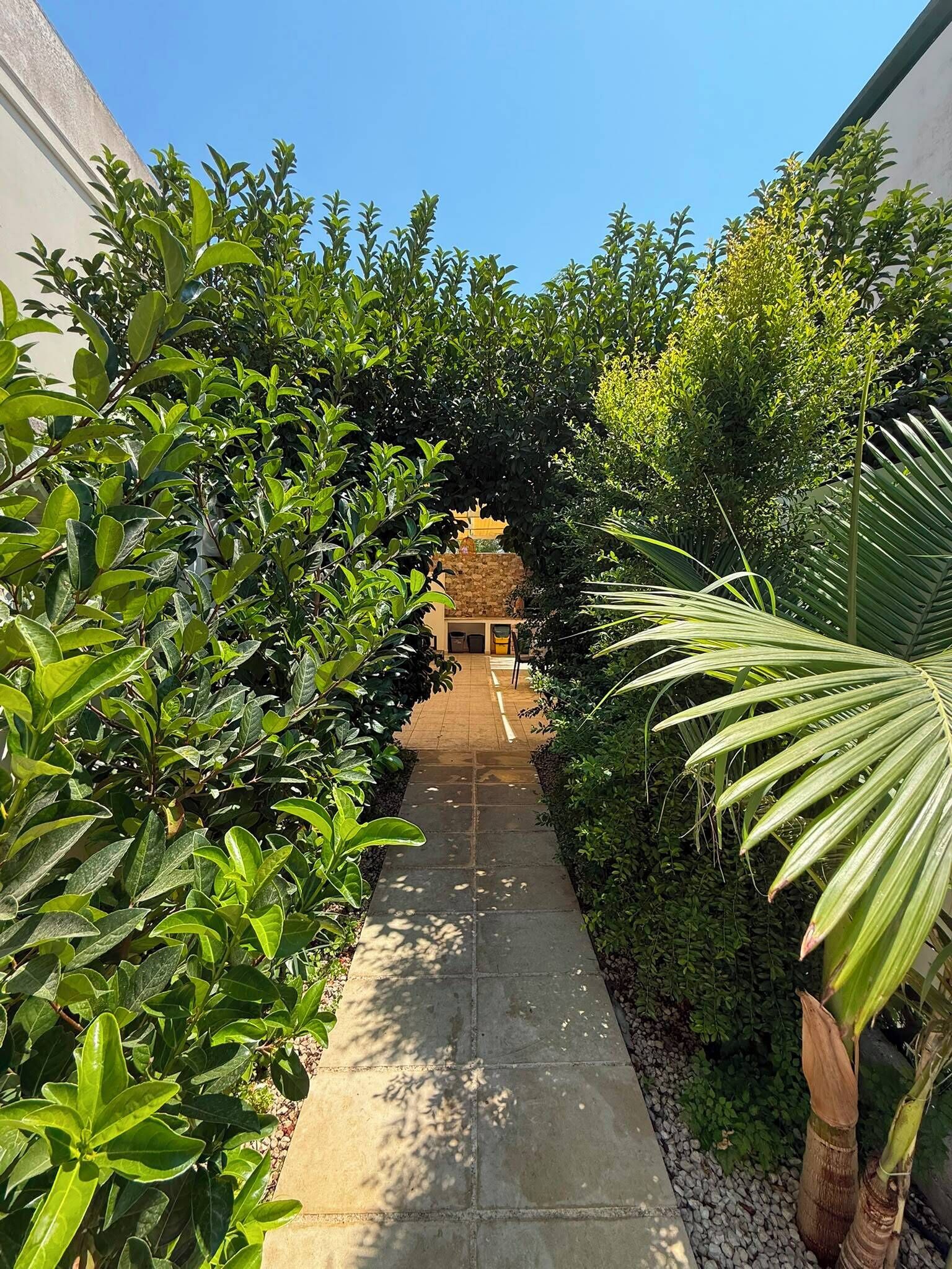 A narrow concrete pathway flanked by dense green foliage, leading to a structure with a thatched roof.